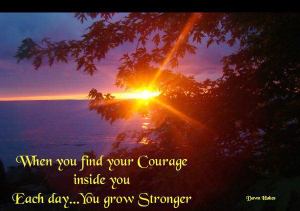 310670_237146353019732_219719701429064_611901_734787366_n