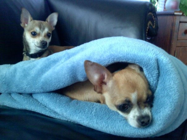 41272_105640489492931_6384483_n